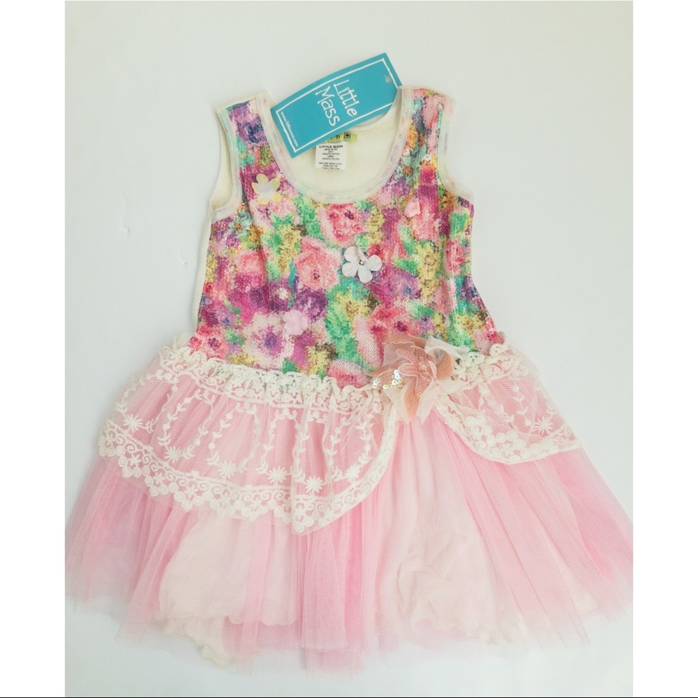 NWT Little Mass Pink 2T Girls Dress